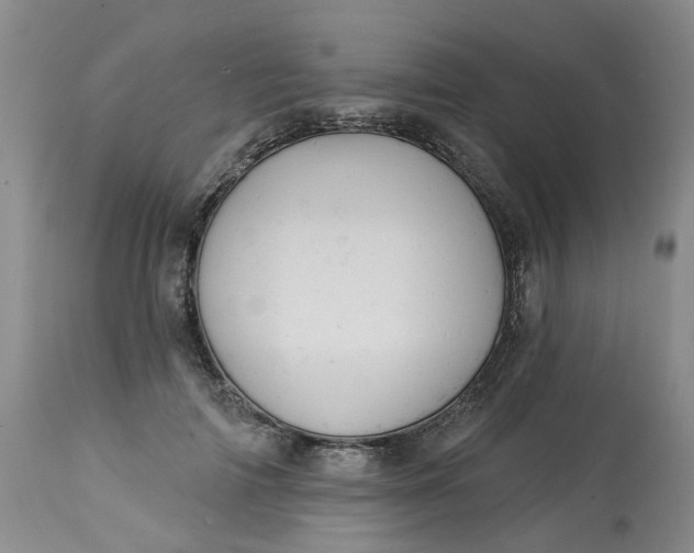 X0000113230698200910011409