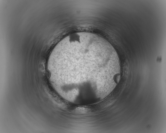 X0000113230699200910011409