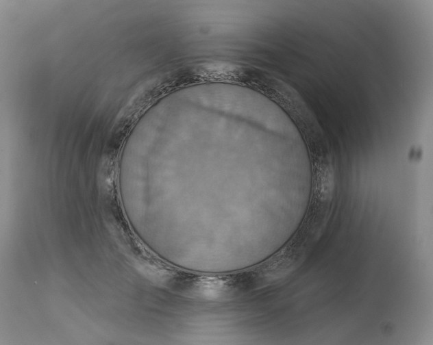 X0000113230701200910011409