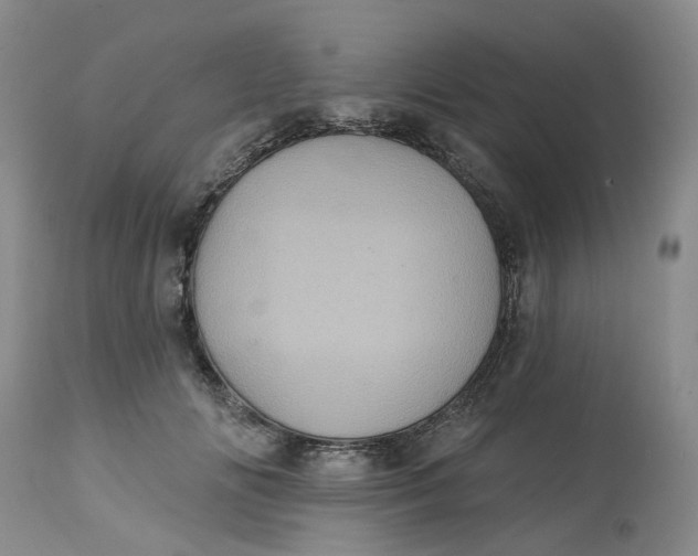 X0000113230702200910011409