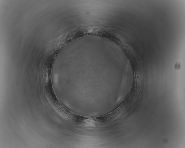 X0000113230703200910011409