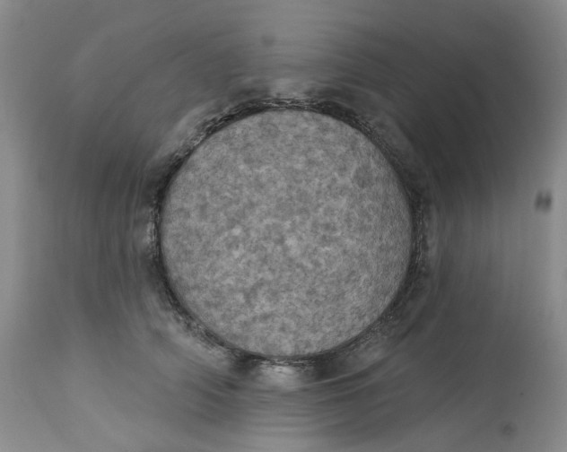 X0000113230706200910011409