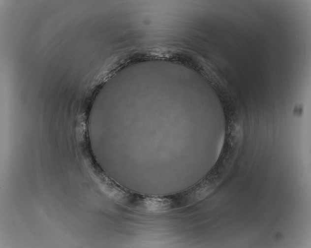 X0000113230707200910011409