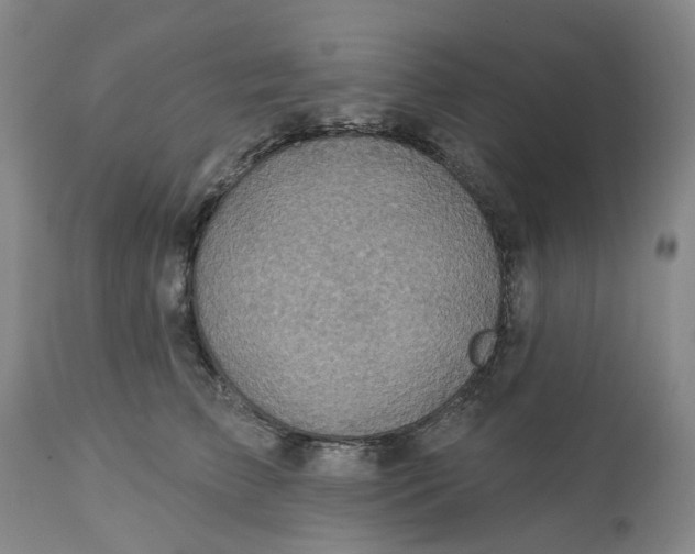 X0000113230709200910011409