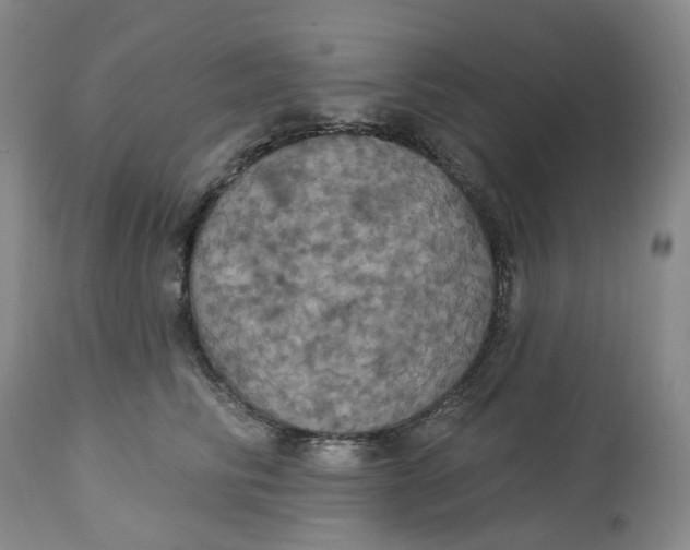 X0000113230710200910011409