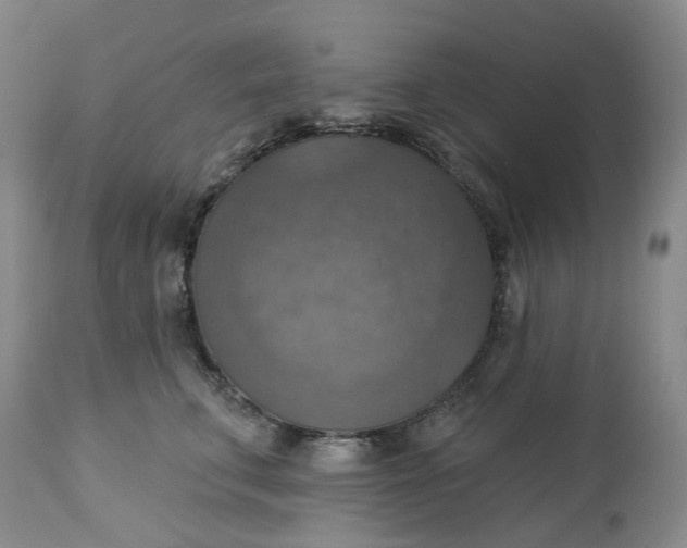 X0000113230711200910011409