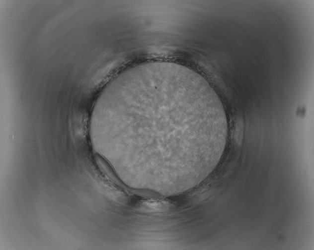 X0000113230712200910011409