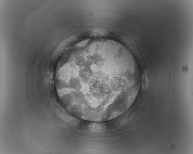 X0000113230714200910011409