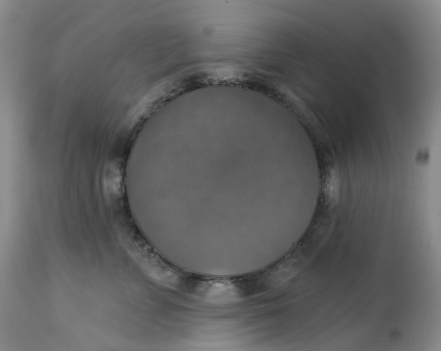 X0000113230715200910011409