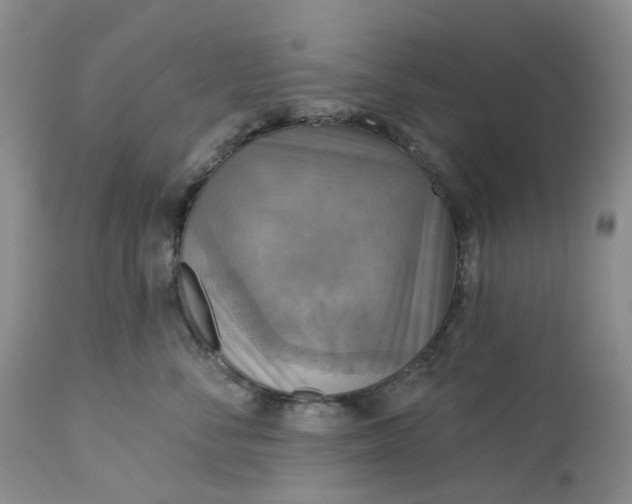 X0000113230716200910011409