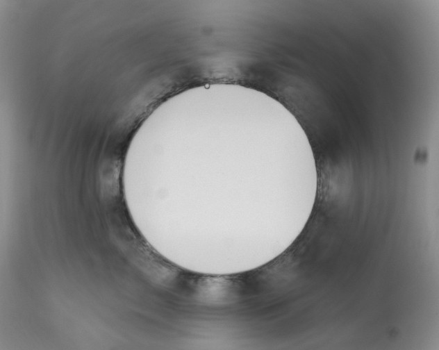 X0000113230717200910011409