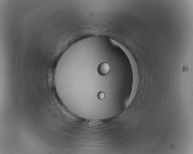 X0000113230720200910011409