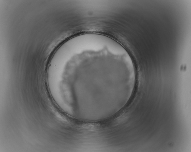 X0000113230721200910011408