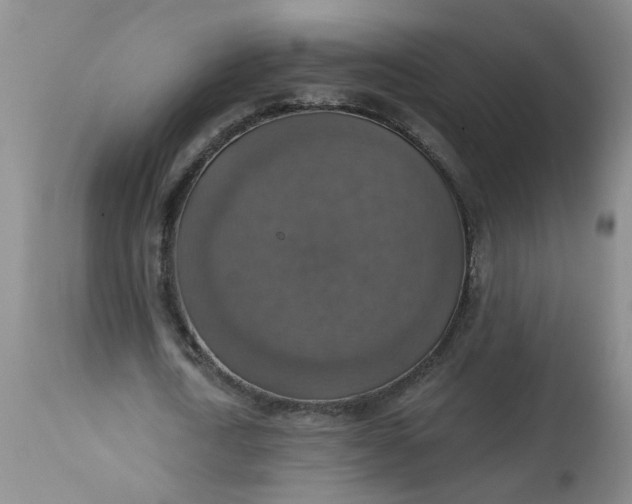 X0000113230722200910011408