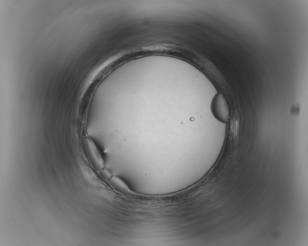 X0000113230724200910011408