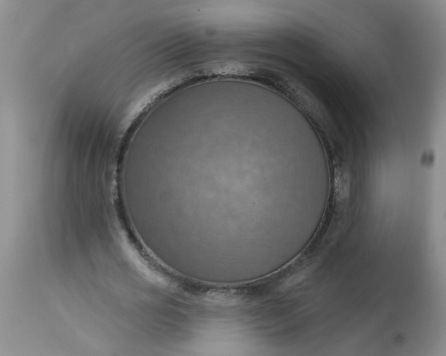 X0000113230725200910011408