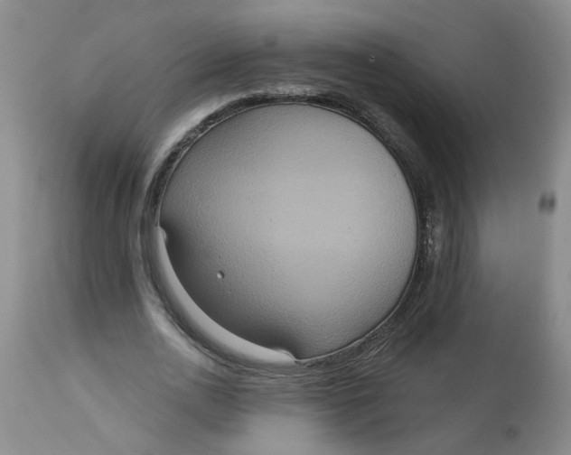 X0000113230726200910011408