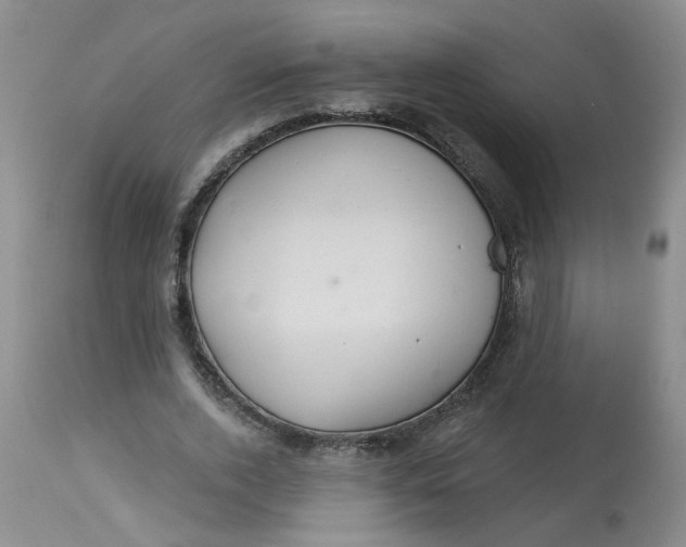 X0000113230728200910011408