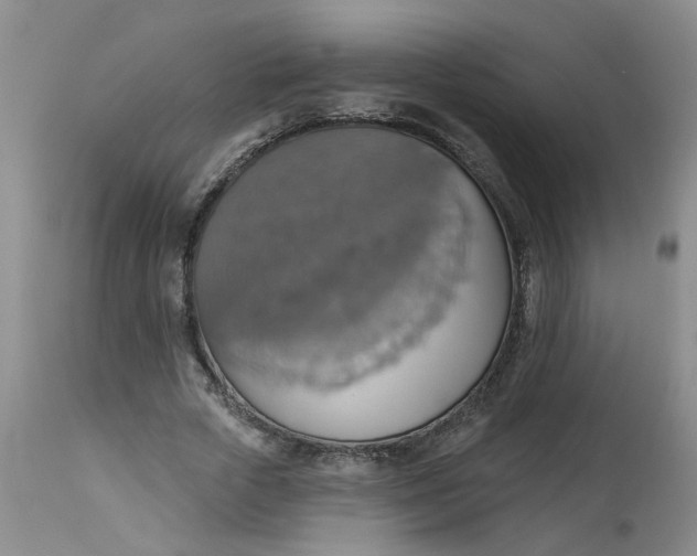 X0000113230729200910011408