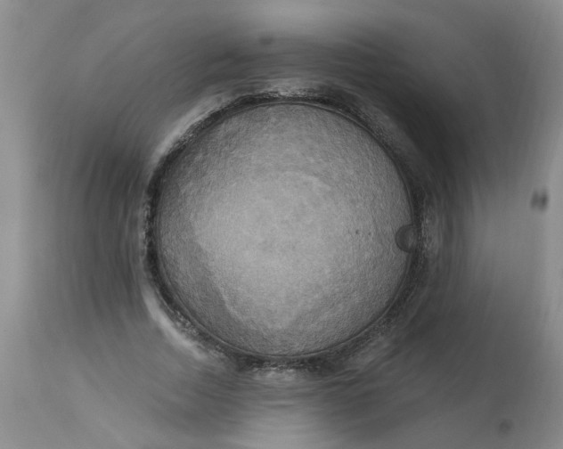 X0000113230730200910011408