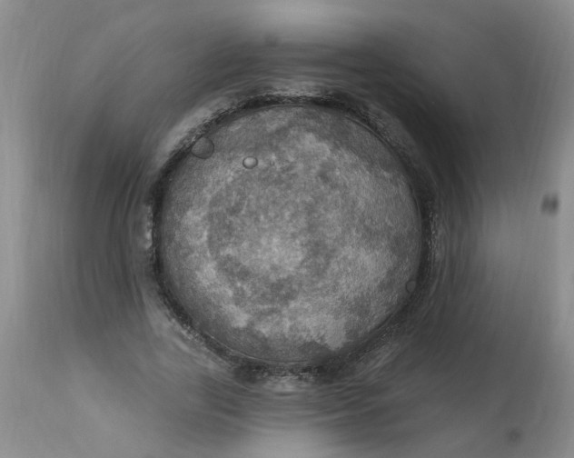 X0000113230731200910011408