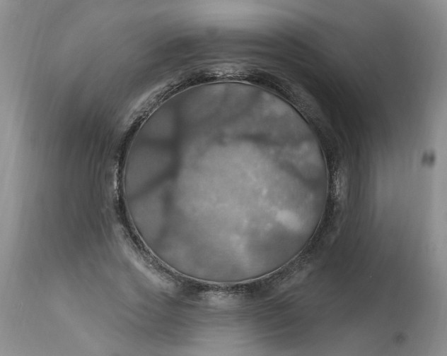 X0000113230733200910011408