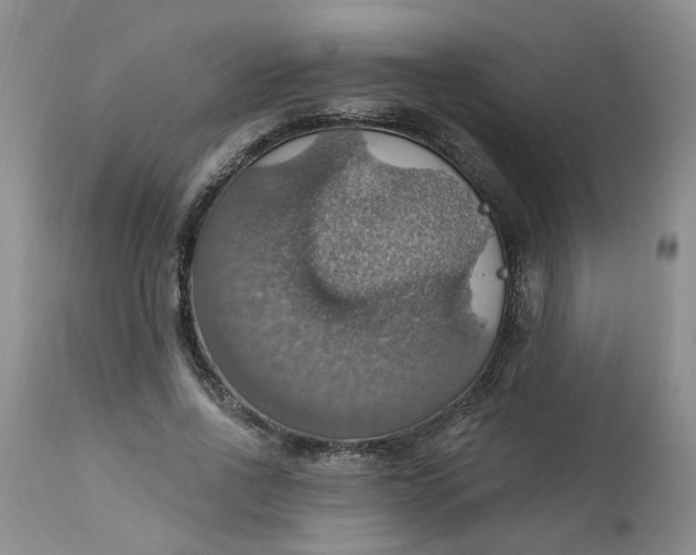 X0000113230734200910011408