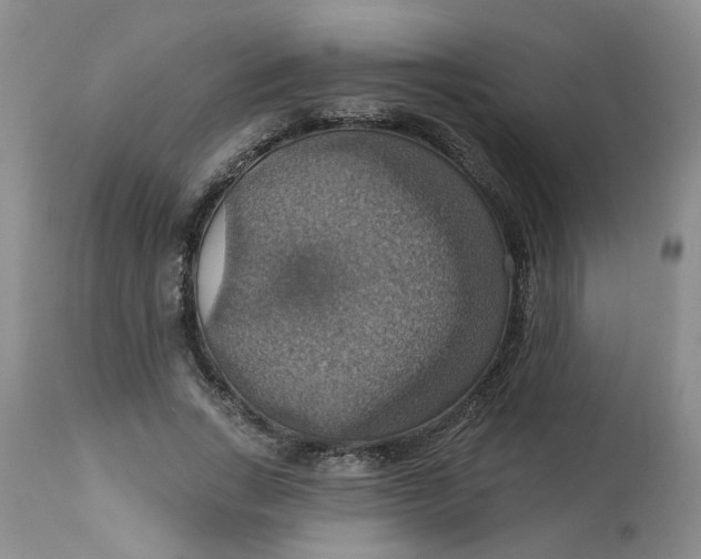 X0000113230735200910011408