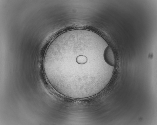 X0000113230736200910011408