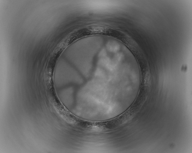 X0000113230737200910011408