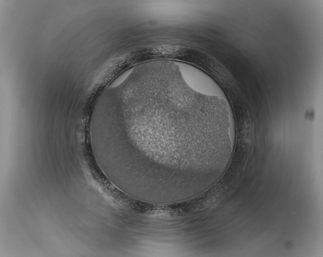 X0000113230738200910011408