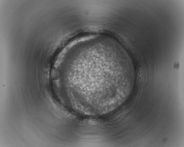 X0000113230739200910011408