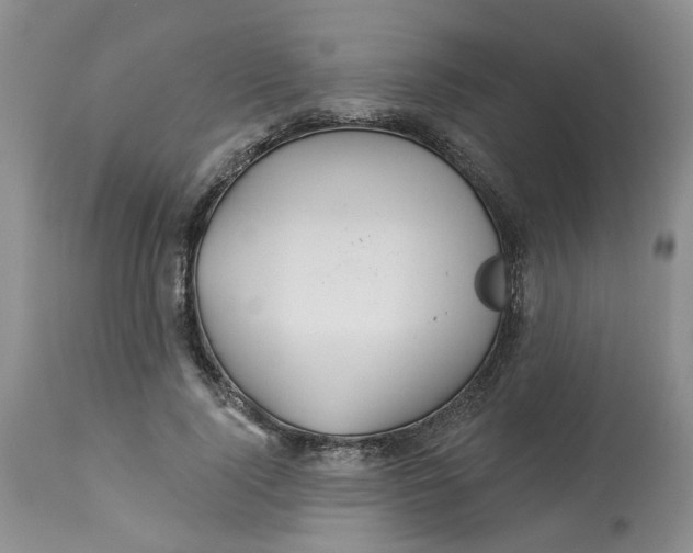 X0000113230740200910011408