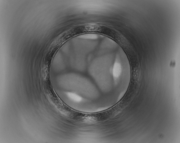 X0000113230741200910011408