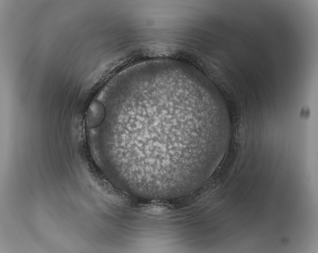 X0000113230743200910011408