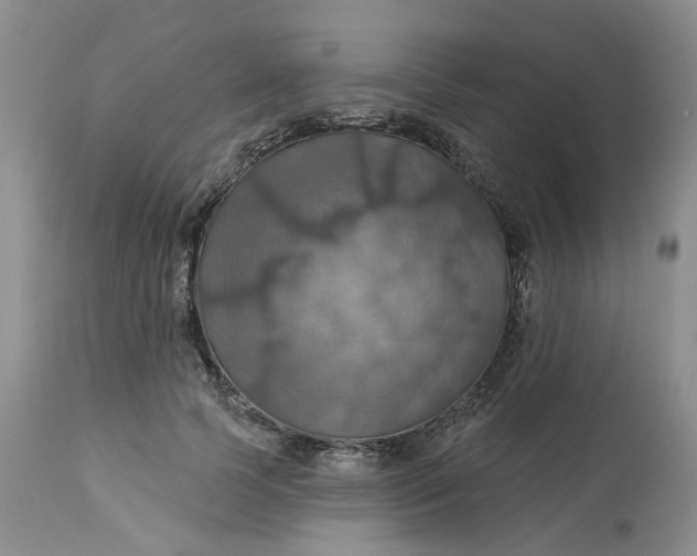 X0000113230745200910011408