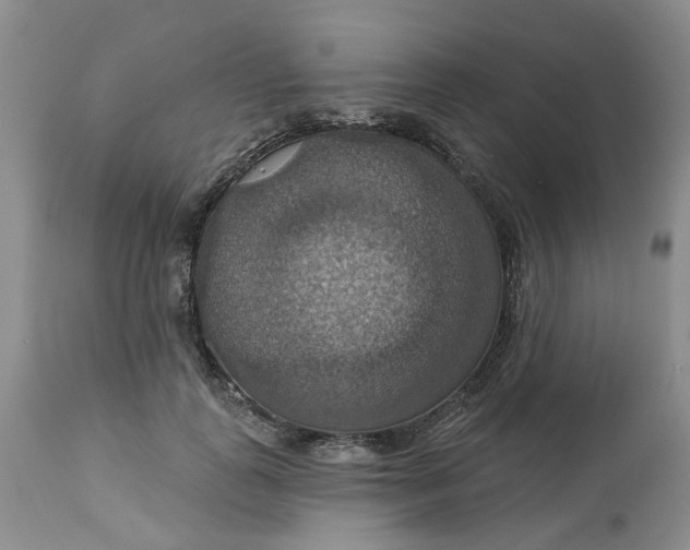 X0000113230747200910011408