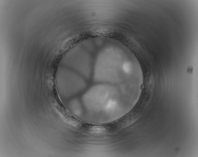 X0000113230749200910011408