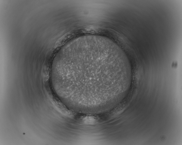 X0000113230751200910011408