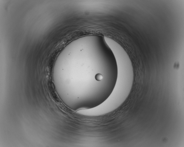 X0000113230752200910011408