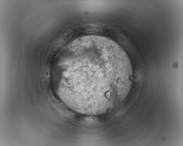 X0000113230753200910011408