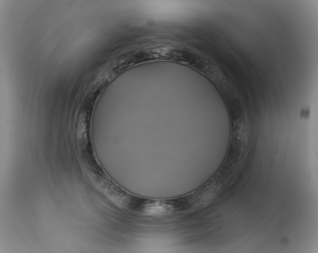 X0000113230754200910011408