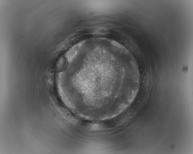 X0000113230755200910011408