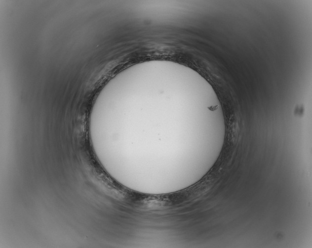 X0000113230756200910011409