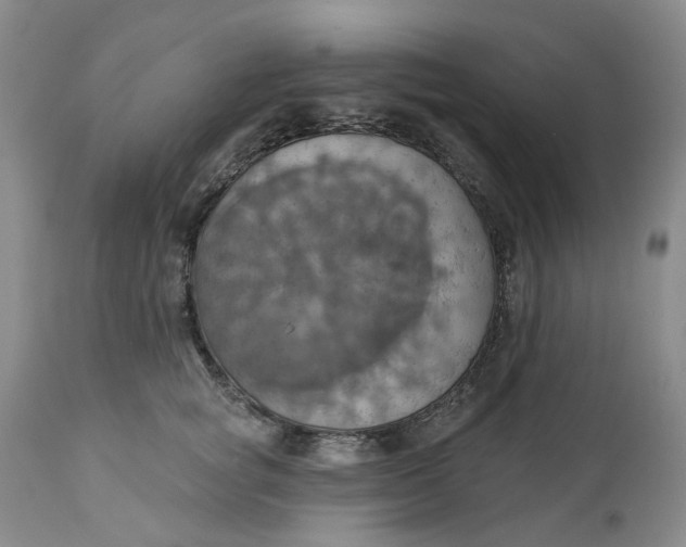 X0000113230757200910011409