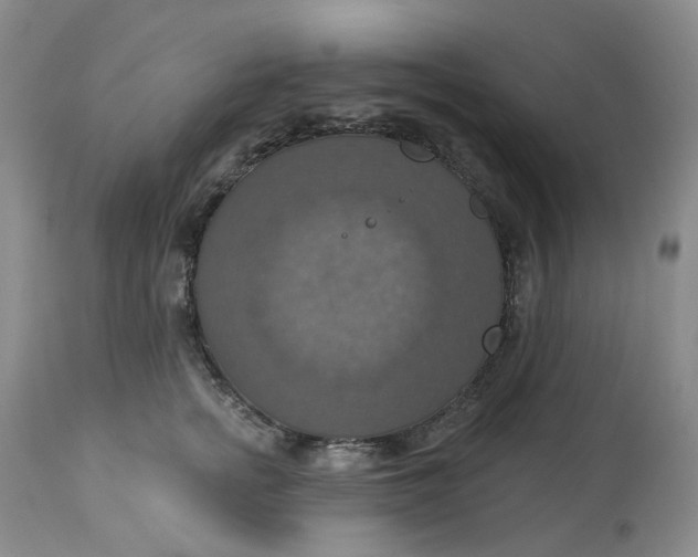 X0000113230758200910011409