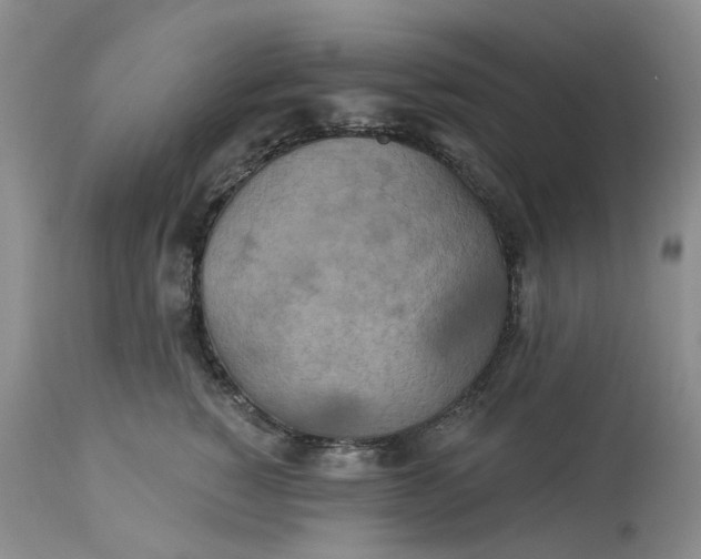 X0000113230760200910011409