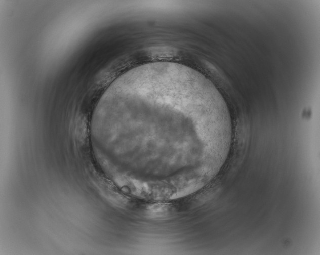 X0000113230761200910011409