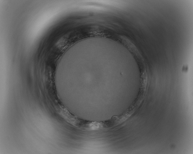 X0000113230762200910011409