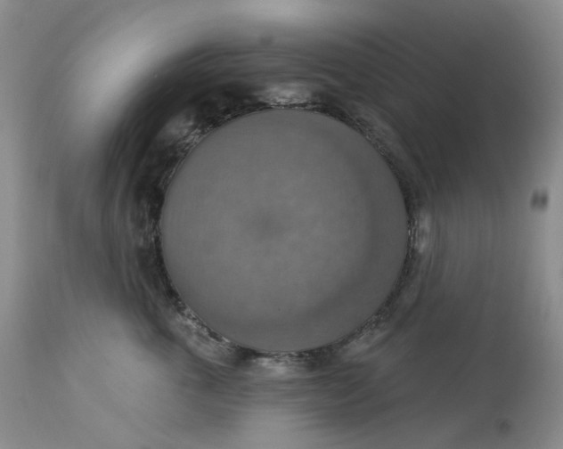 X0000113230763200910011409